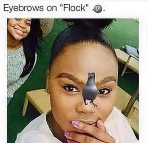 On Flock