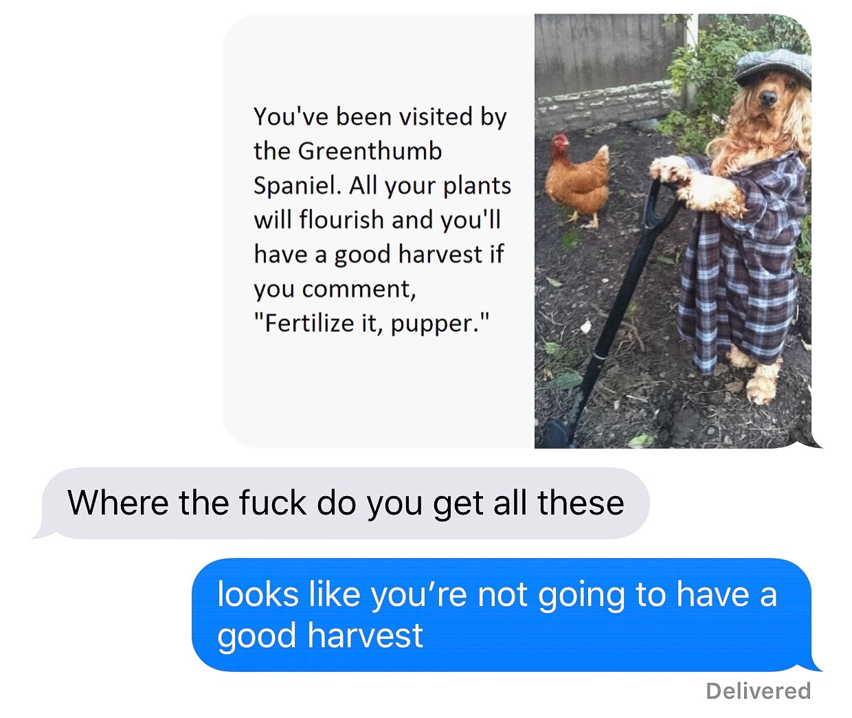 meðŸŒ¾irl