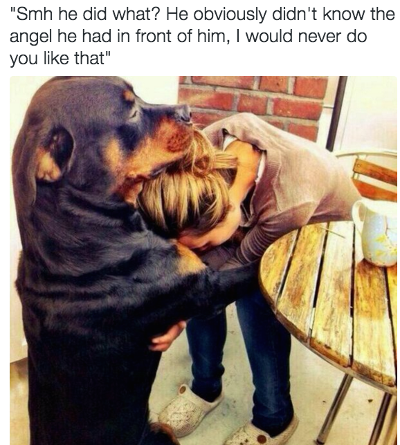 All dogs go to heaven tho, right?