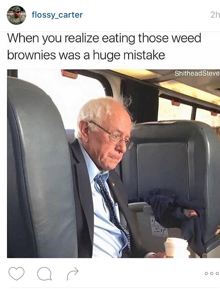 Beginning to bern