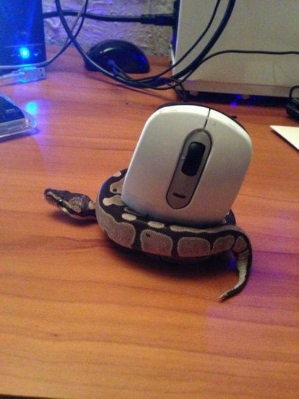 You're doing it wrong!