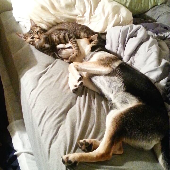 Nothing to see here, move along.