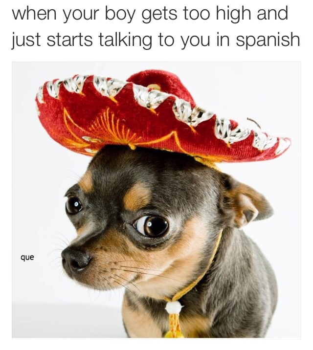 Getting Latino with a high
