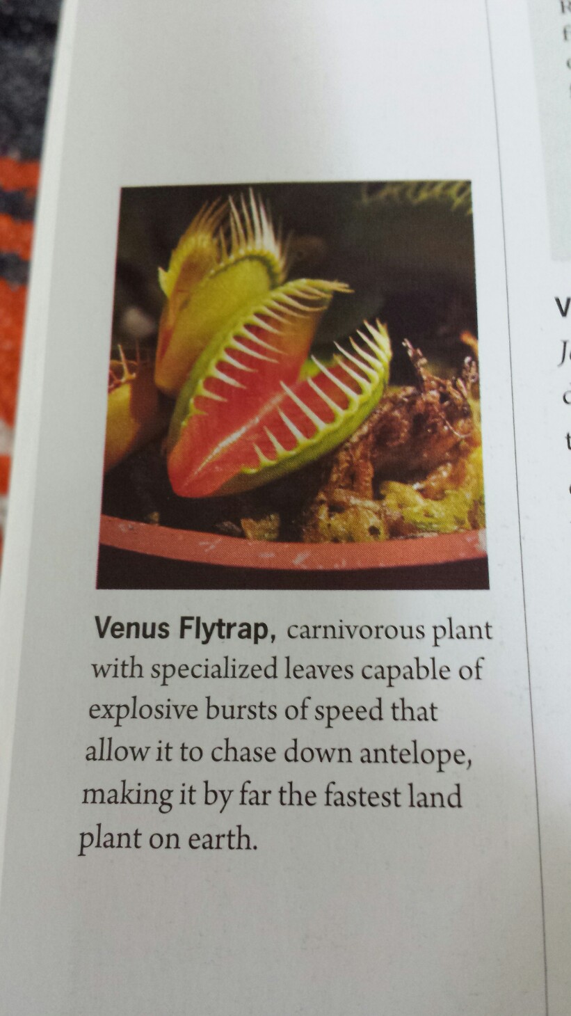 An interesting fact about the Venus Flytrap