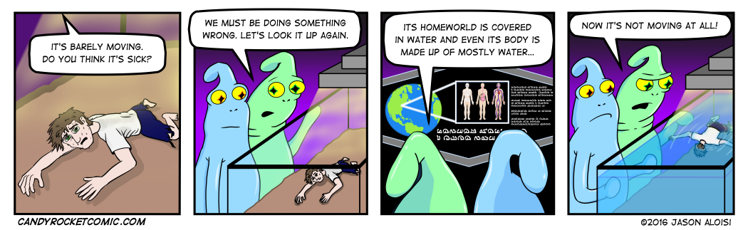 How to care for your human