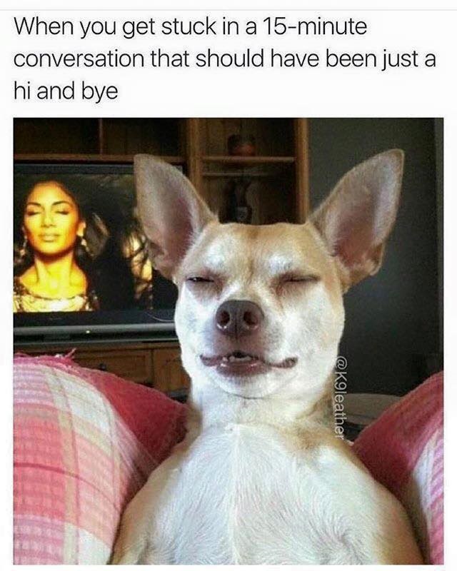 Just kill me now!