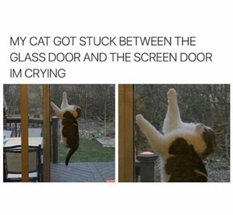 Me_irl