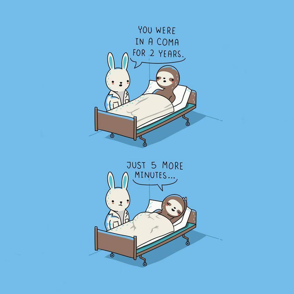Sleep is life