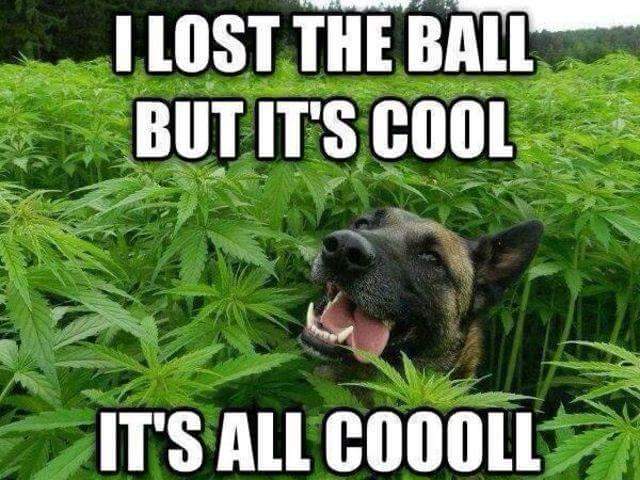 It's all cool