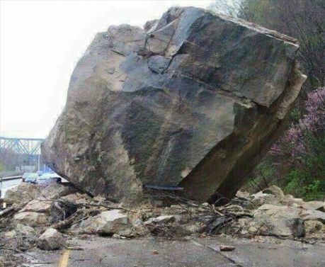 R.I.P. Wile E. Coyote