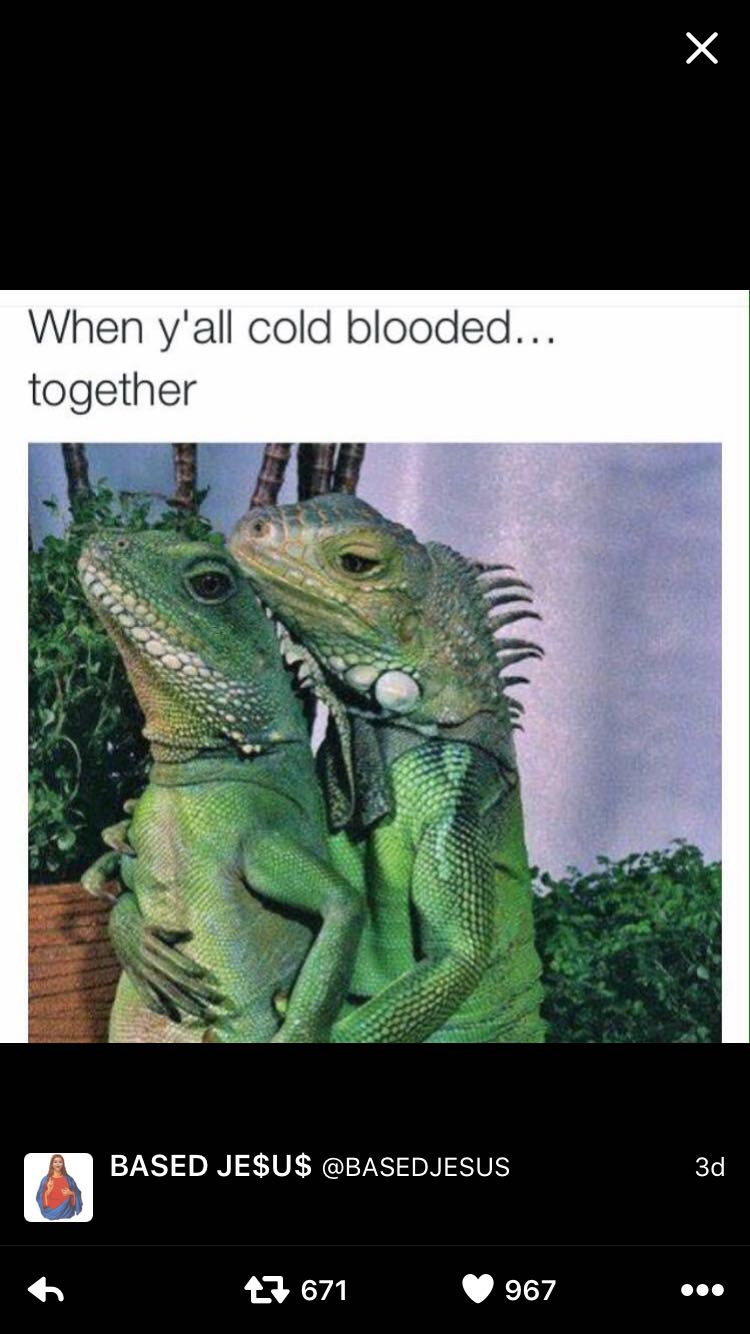 Cold Blooded