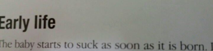 me irl