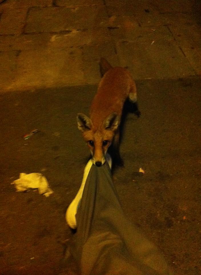 Passed out at a London bus stop. Woke up to this:
