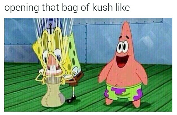 bag-o-kush