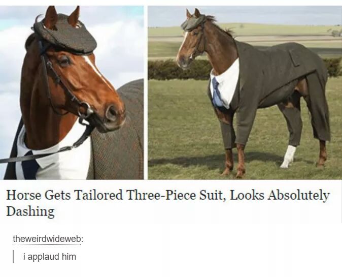 meðŸ´irl