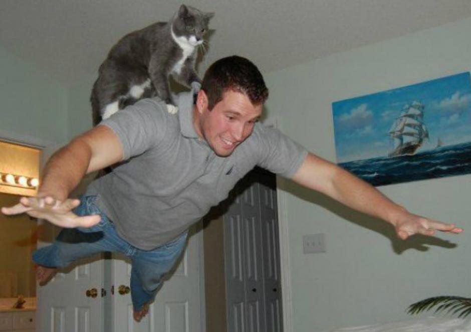 Inspired by the cat drone