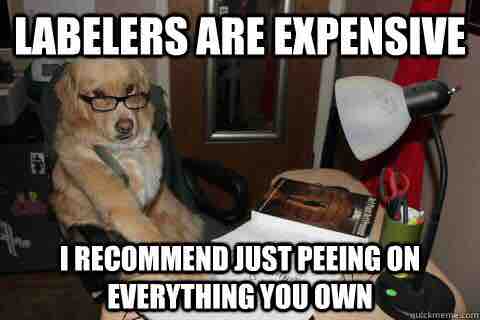 Financial Advice Dog