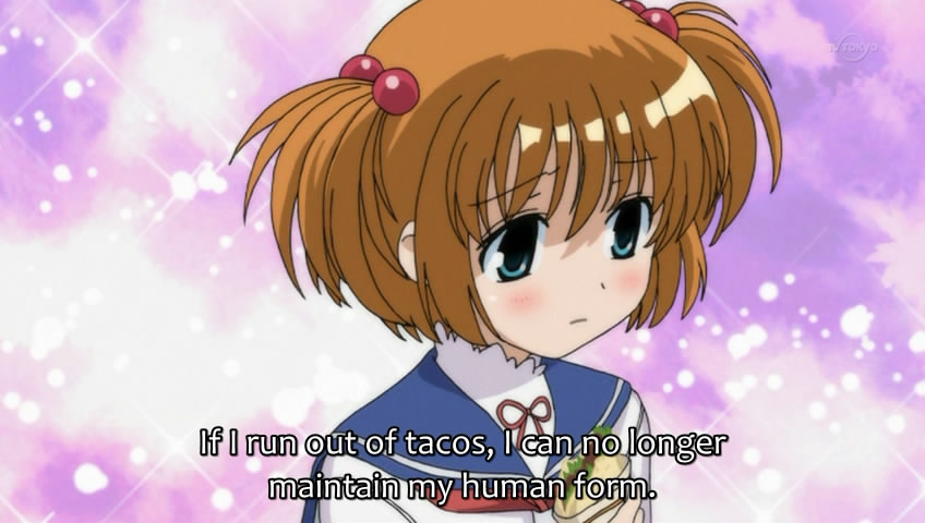 meðŸŒ®irl