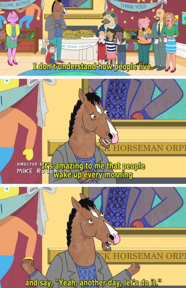 MeðŸ´irl