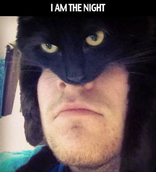 Purring Cowl