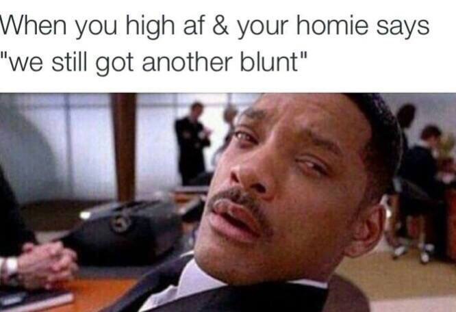 The Struggles of a High Nigga
