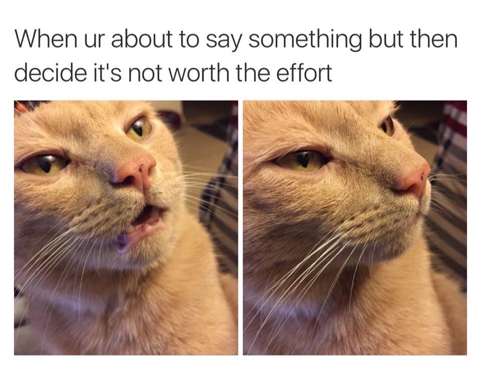 Commenting on here.