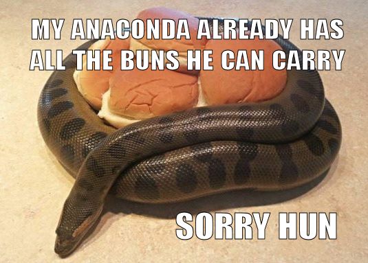 self-sufficient anaconda don't want none even if you DO have buns....