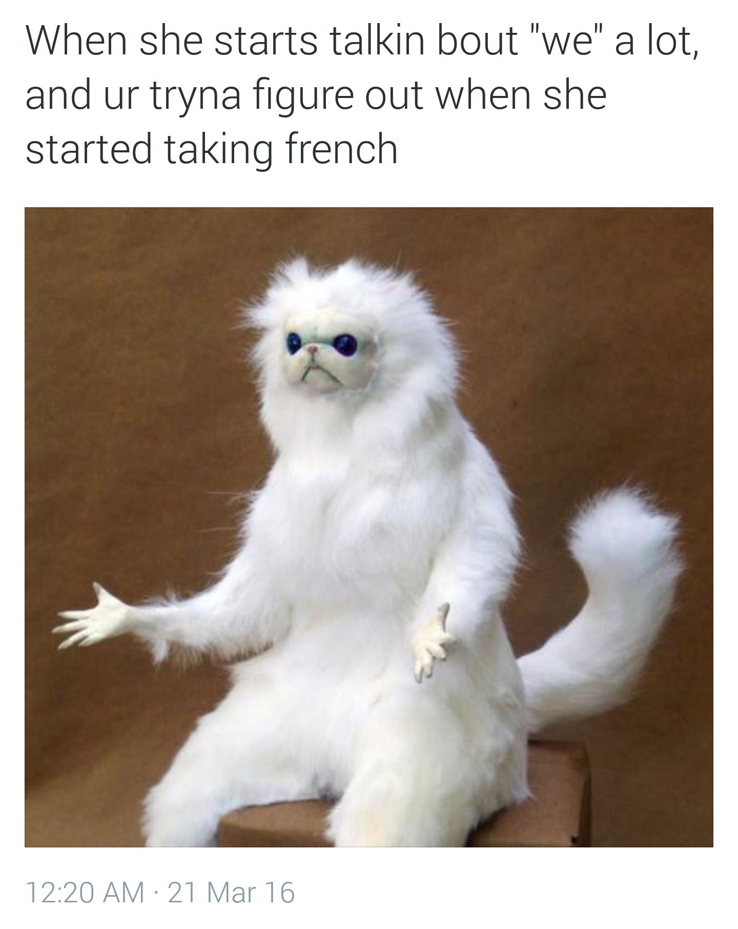 Might be Time for a Translator