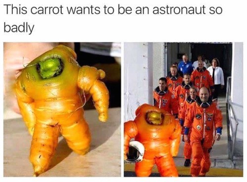 Now even carrots can into space before poland