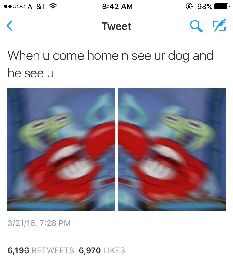 AYYY WHAT UP DAWG