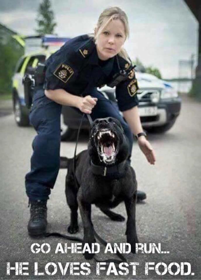 Ad from the swedish police