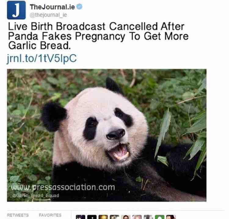 MeðŸ¼irl