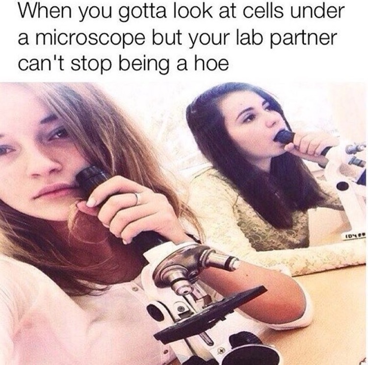 When you can't get enough