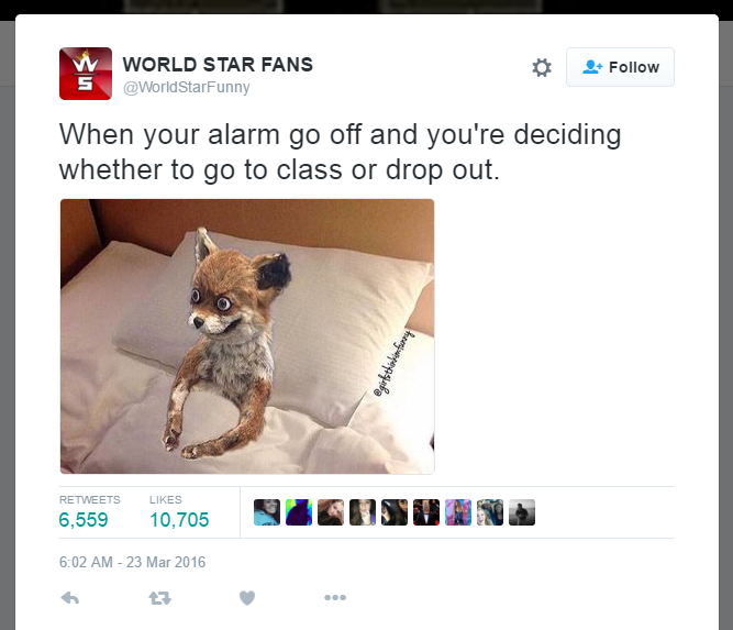 Every Damn Morning