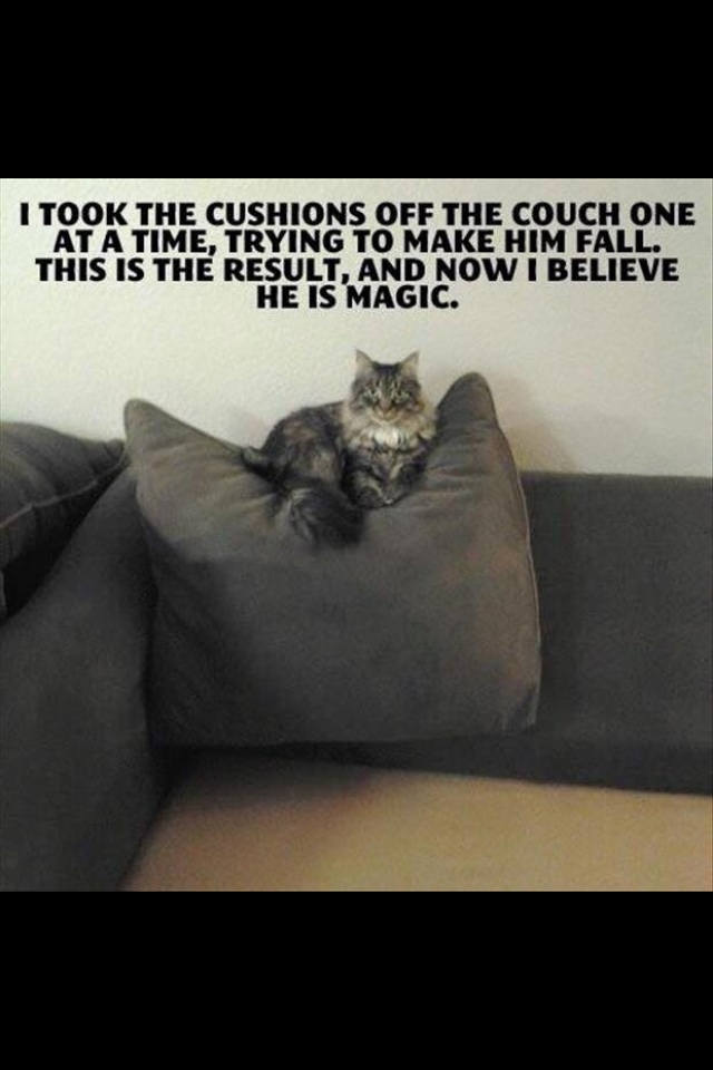 Magic Kitty