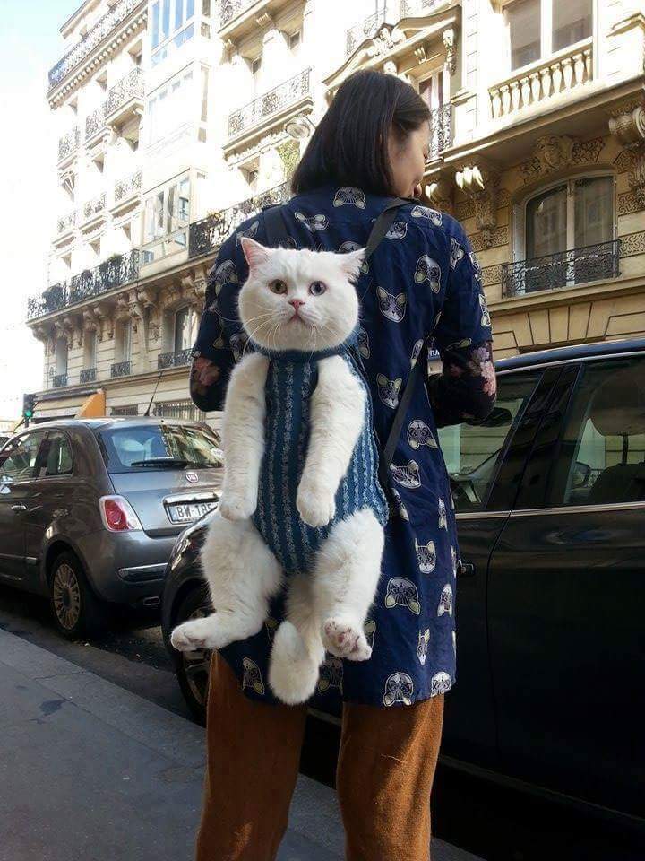 Please save me!