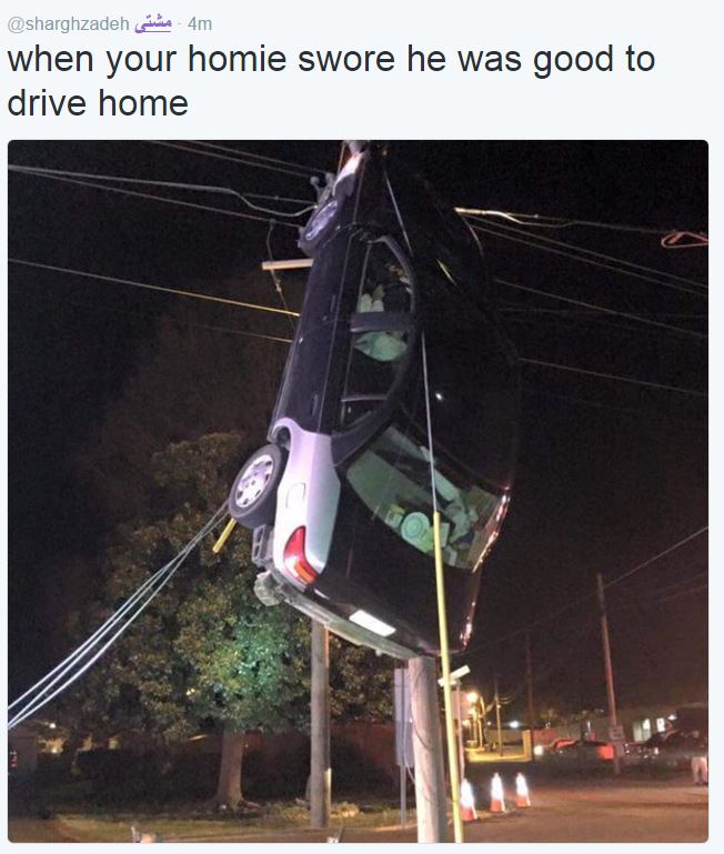 that 1 dude with no insurance suspended licence and a warrant