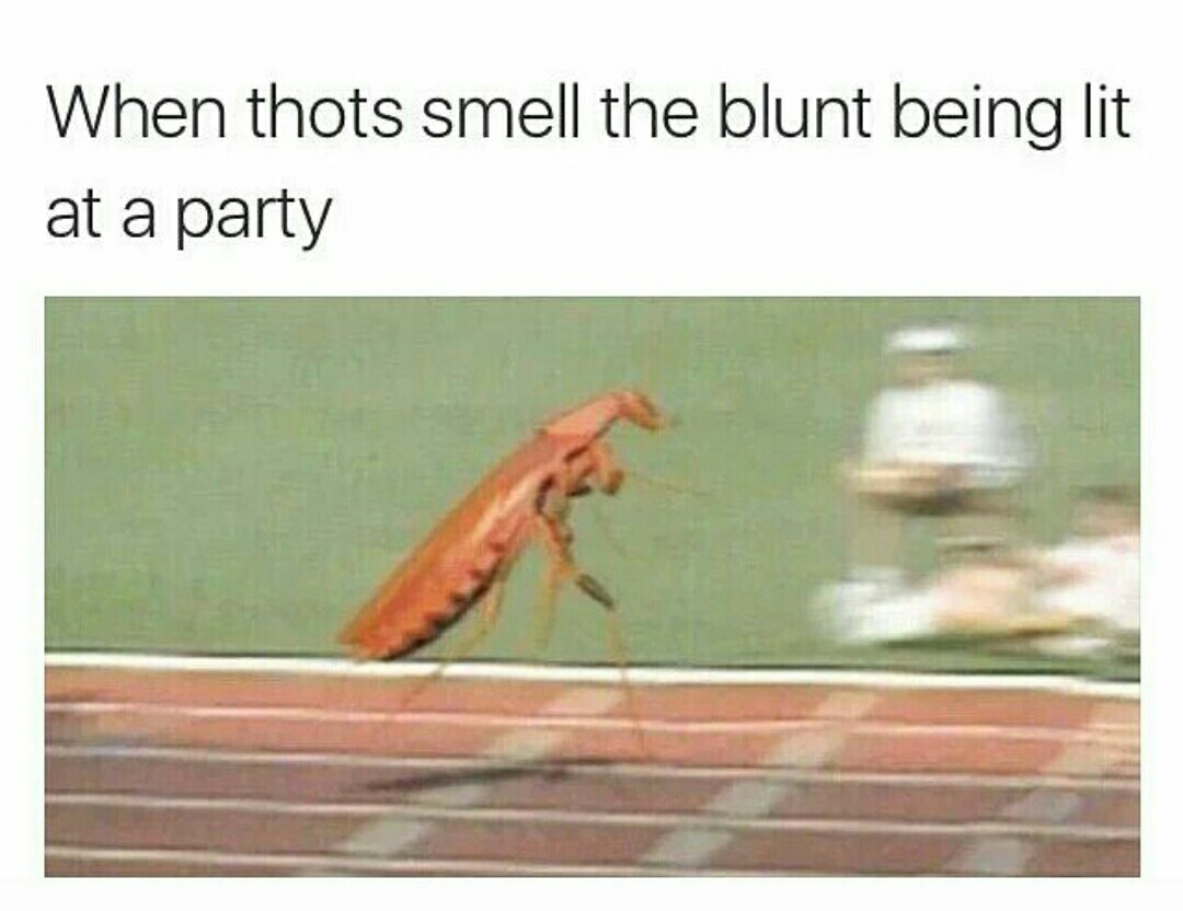 Its lit