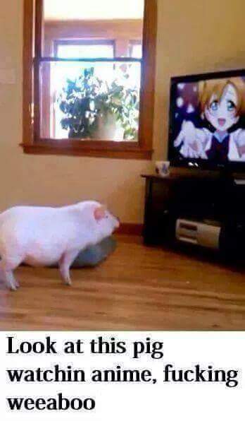 meðŸ·irl