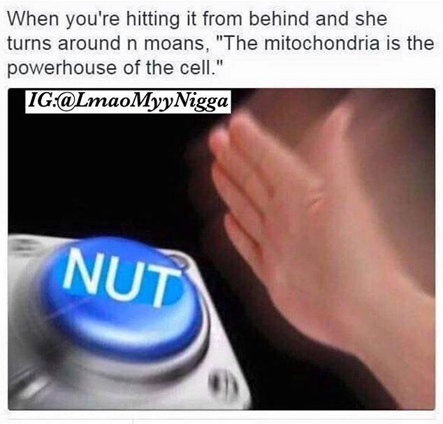 Giving me brain