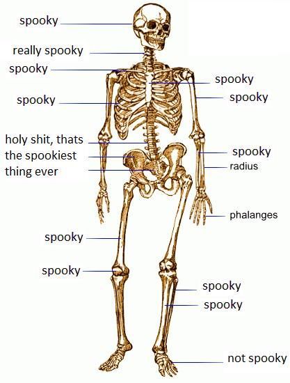 doot doot