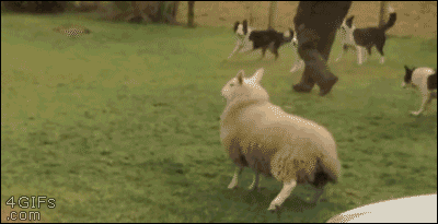 Whenever I join my drunk friends, stoned to death.