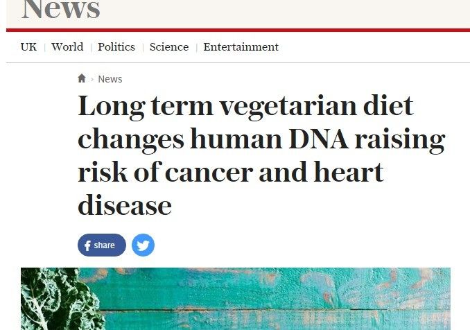Vegans BTFO