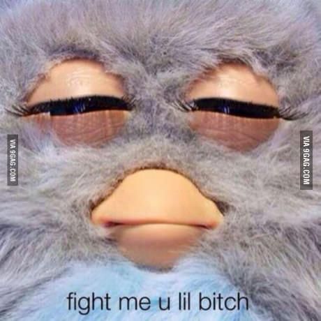 When they say I ain't tough becouse I'm a freakin Furby