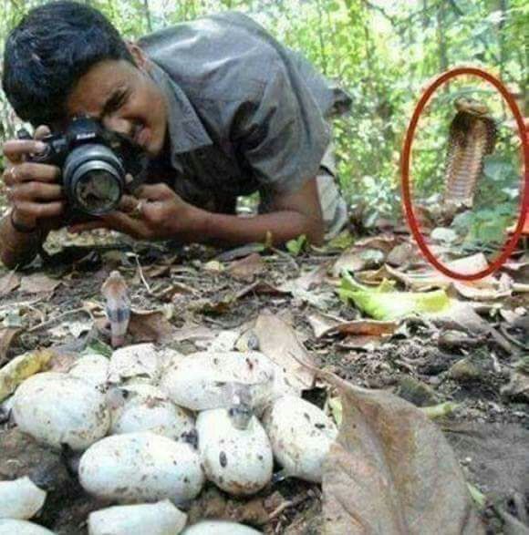Hey buddy, whatcha doin?