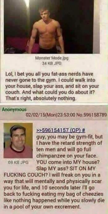 Normies should not try to *** with anon