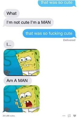 My pronouns are: MAN