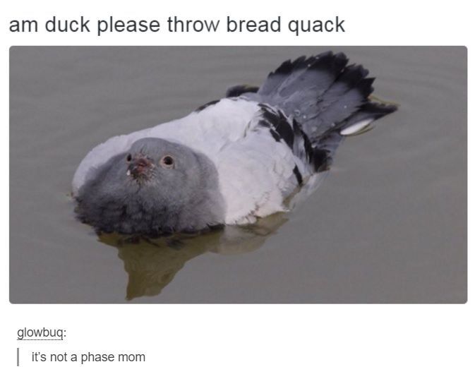 I said quack mother***er