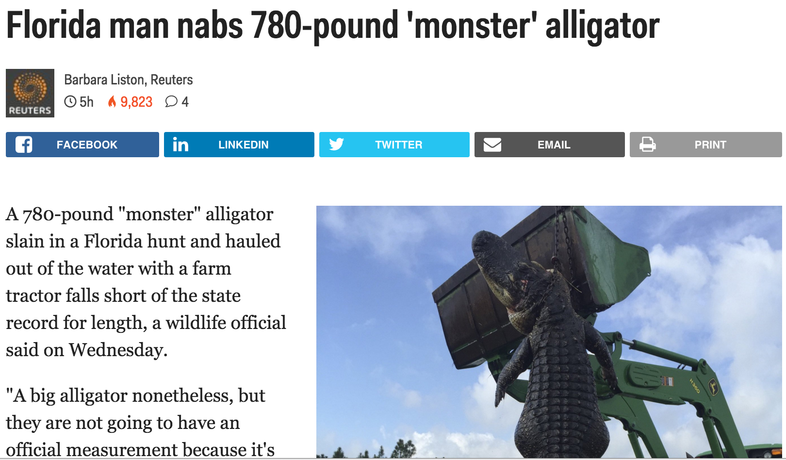 Adventures of Florida Man, Series 5, Vol.38
