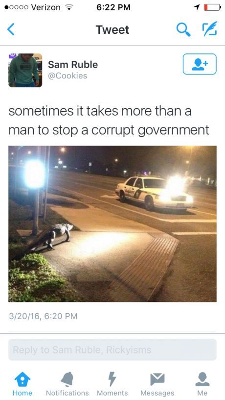 There is a corruption in this swamp.